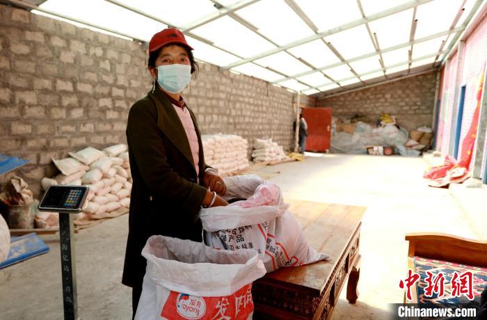 圖為寧重崗村村民扎西才措把自家的油菜籽送到合作社銷售。　嘉黎縣融媒體中心供圖