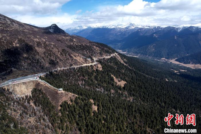2月17日，西藏林芝魯朗林海。(無人機照片) 李林 攝