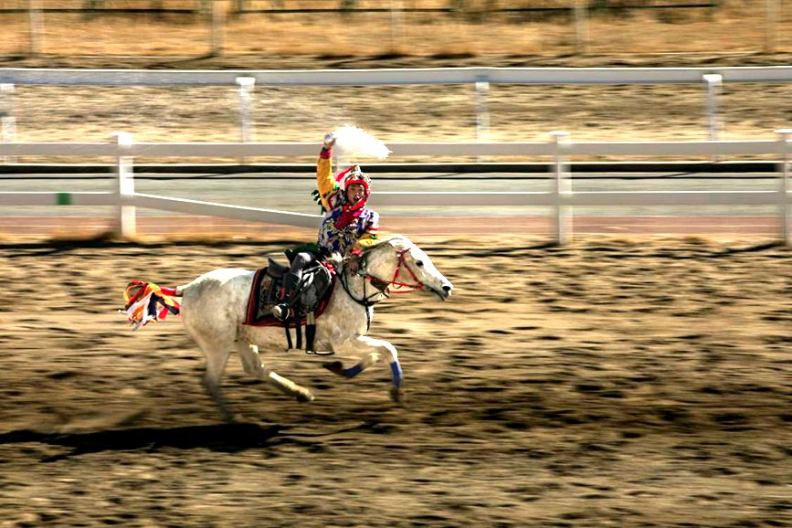 藏歷新年，精彩的馬術(shù)表演。張靜攝