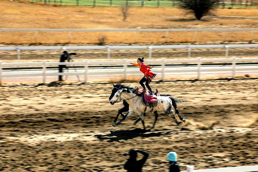 藏歷新年，精彩的馬術(shù)表演。張靜攝