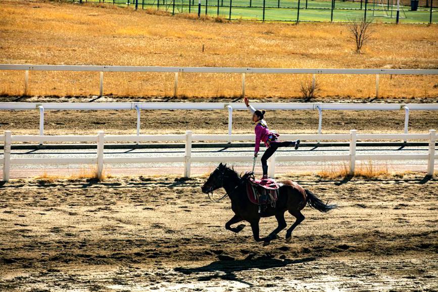 藏歷新年，精彩的馬術(shù)表演。張靜攝