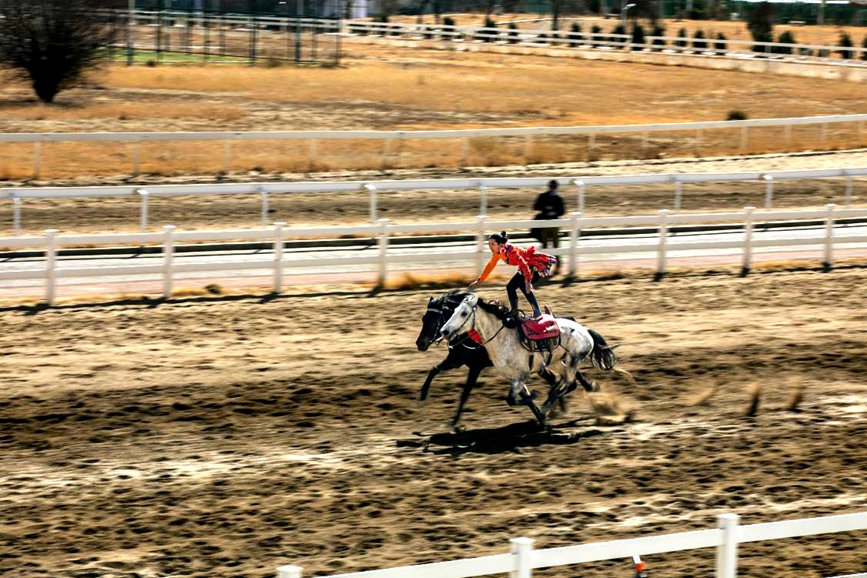 藏歷新年，精彩的馬術(shù)表演。張靜攝