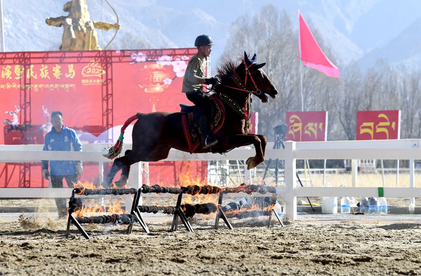 藏歷新年，精彩的馬術(shù)表演。潘多攝