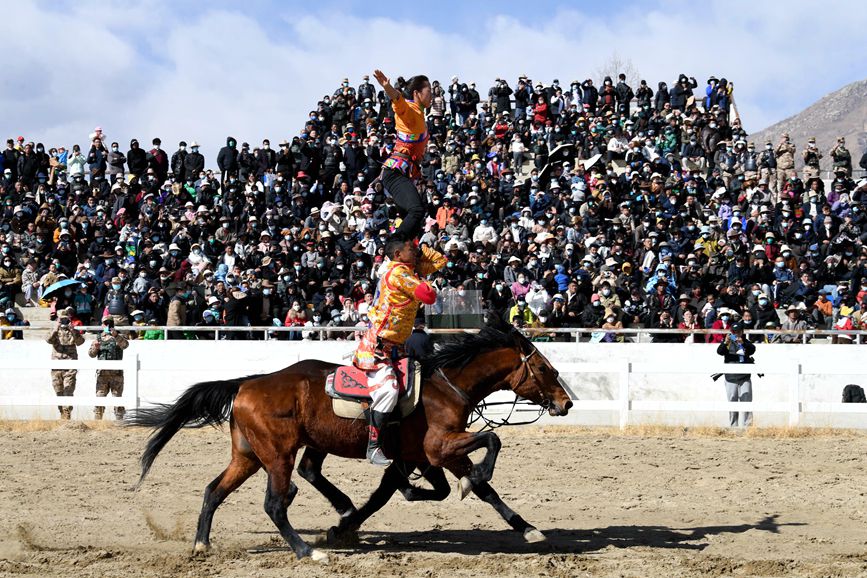 藏歷新年，精彩的馬術(shù)表演。潘多攝