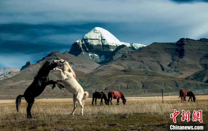 圖為參展攝影師拍攝的西藏阿里岡仁波齊?！≈鬓k方 供圖