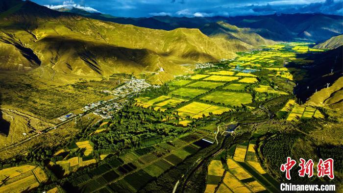 圖為山南雍布拉康附近農(nóng)田?！埼?攝