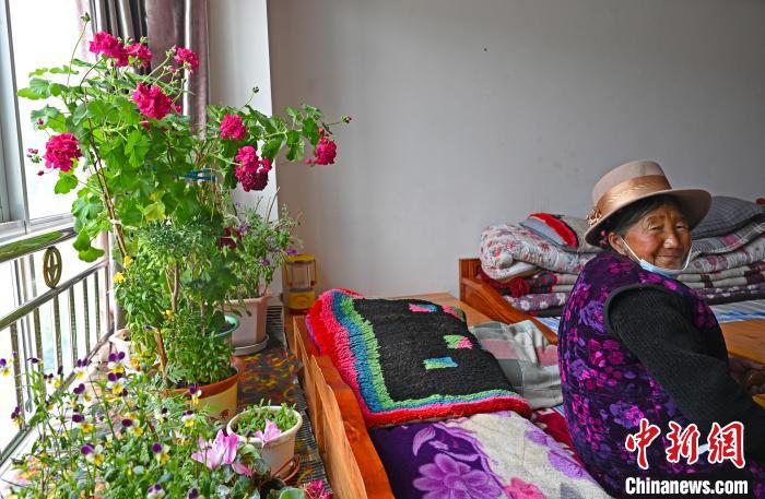 圖為曲松縣特困人員集中供養(yǎng)中心老人德吉卓嘎與她的花。　趙朗 攝