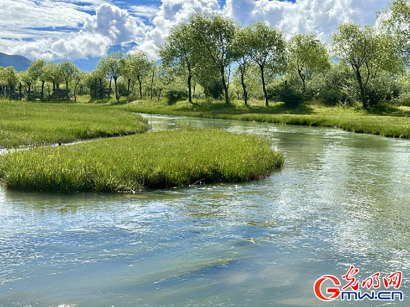 我們的家園丨【組圖】 綠水青山入畫(huà)，“金山銀山”筑起