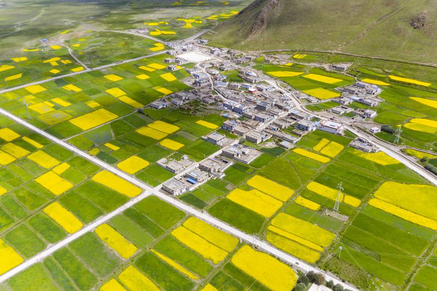 航拍道布龍村，依山傍水，阡陌縱橫。