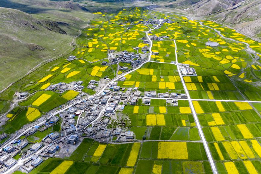 航拍道布龍村，依山傍水，阡陌縱橫。