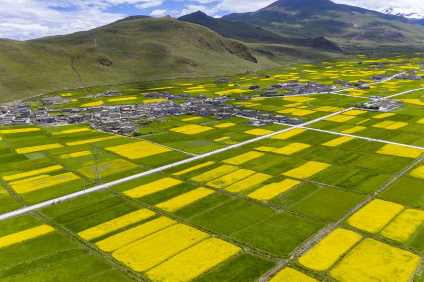 航拍道布龍村，依山傍水，阡陌縱橫。
