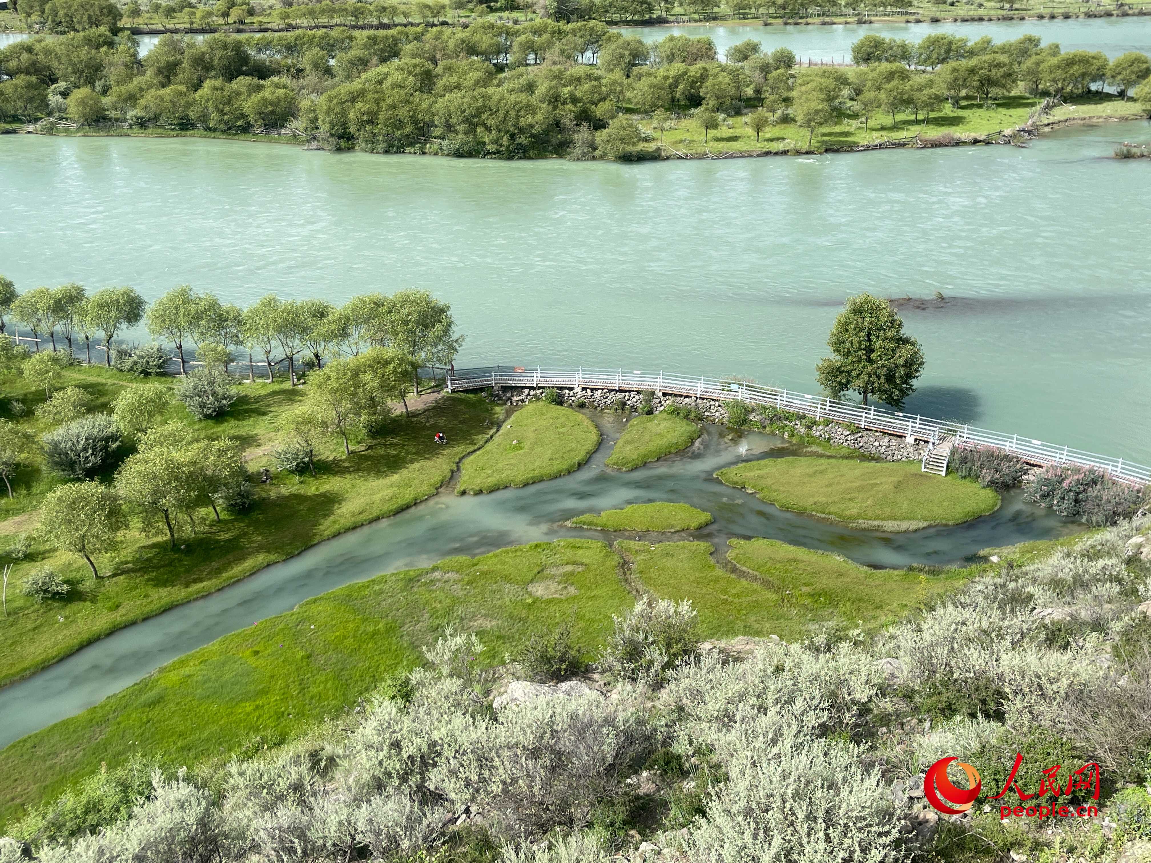 夏日的雅尼國(guó)家濕地公園生機(jī)盎然，如詩如畫。人民網(wǎng) 周靜圓攝