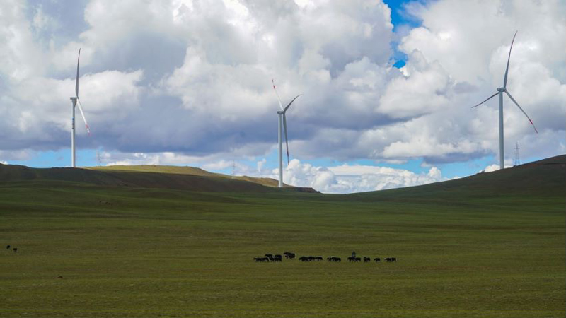 西藏措美哲古風(fēng)電場首批3.6兆瓦風(fēng)電機組并網(wǎng)發(fā)電。受訪者供圖
