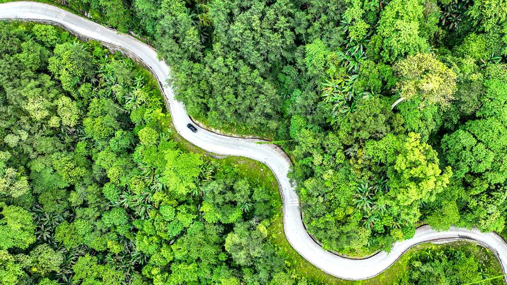 穿行于綠色間，生態(tài)優(yōu)良。張澤坤攝