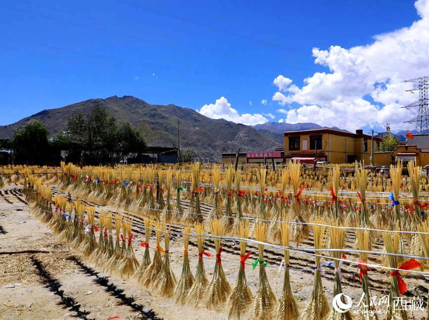 幸福生活曬出來。人民網(wǎng) 李海霞攝