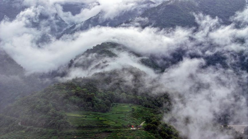 秋日里的墨脫云海。張澤坤攝