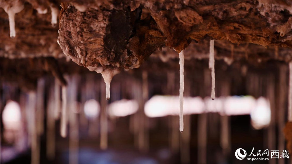 自然滲下的鹽柱結(jié)晶。人民網(wǎng)記者 次仁羅布攝