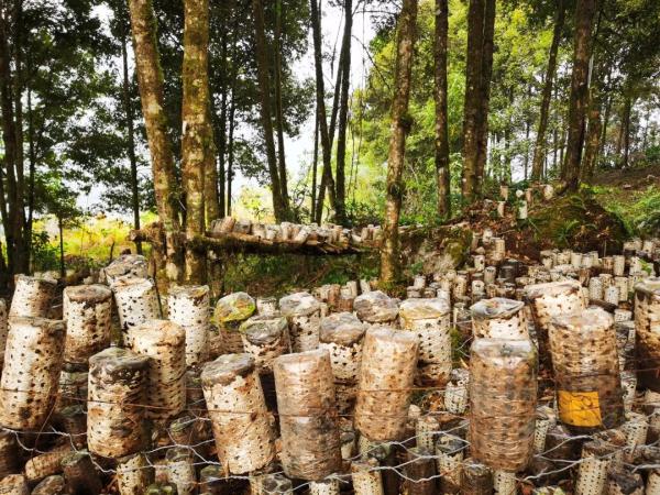 幾代建設(shè)者，歷經(jīng)半個(gè)多世紀(jì)完成！這是一條怎樣的公路？