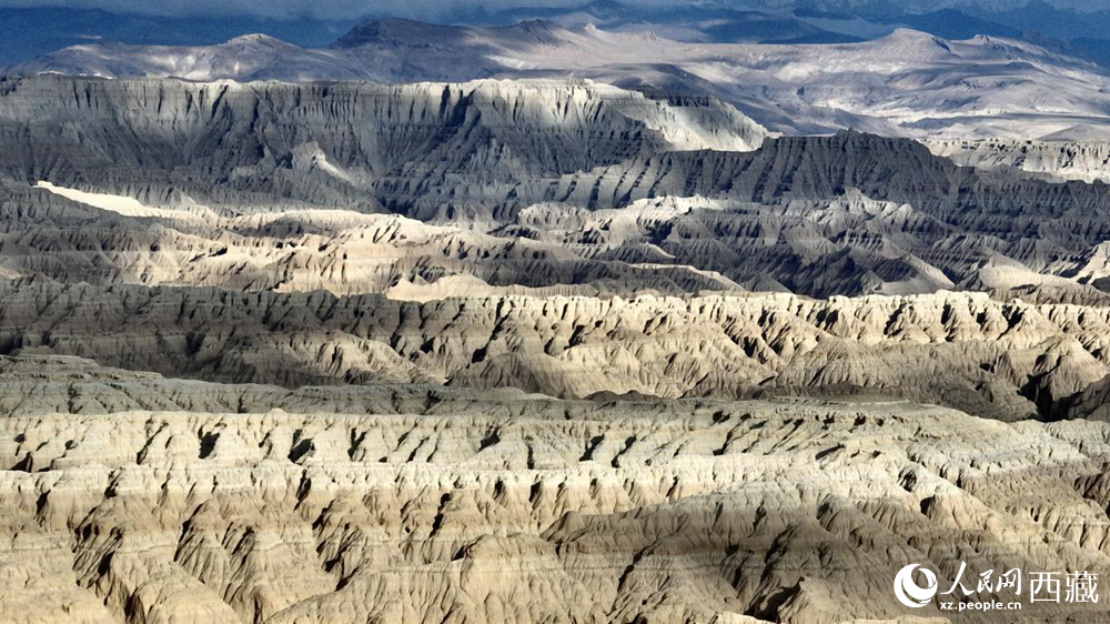 西藏阿里地區(qū)札達(dá)土林國(guó)家地質(zhì)公園。人民網(wǎng)記者 次仁羅布攝