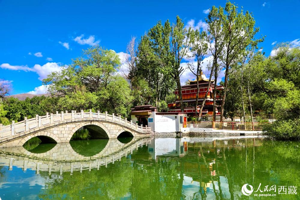 公園內(nèi)綠意盎然。