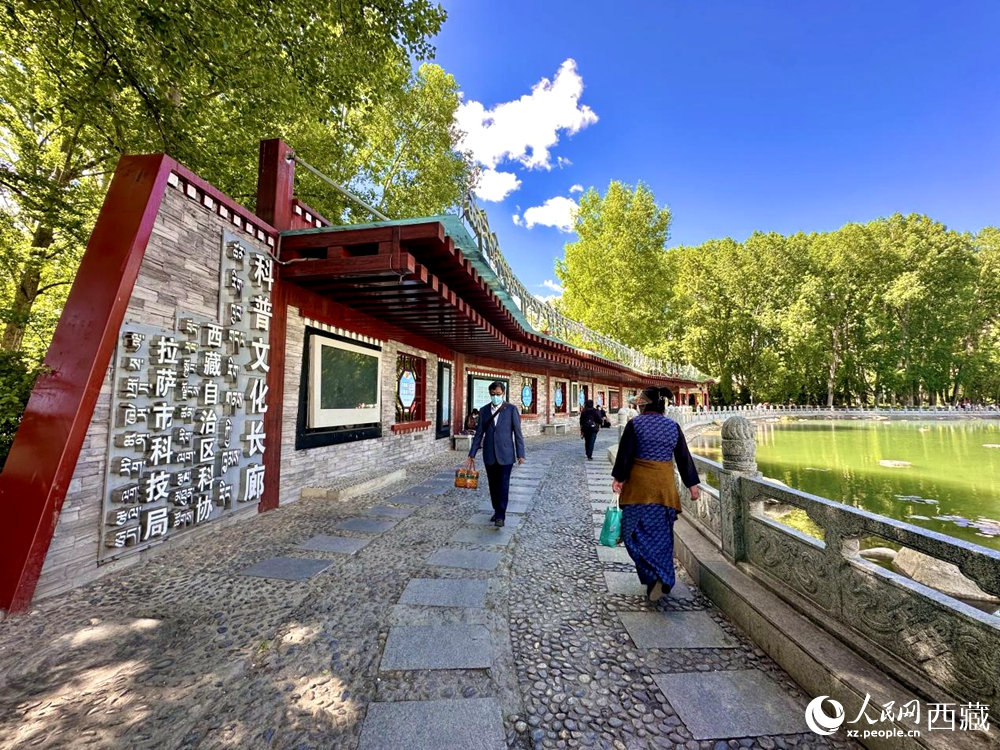 公園內(nèi)的科普文化長(zhǎng)廊。