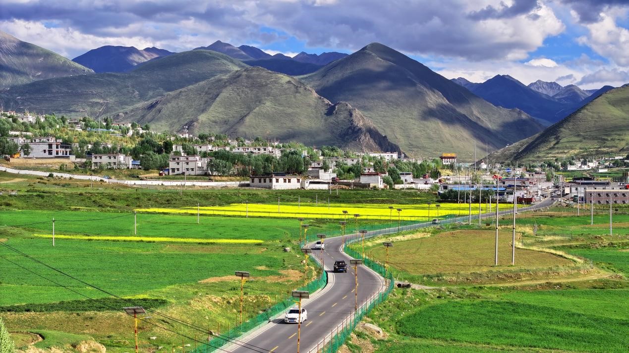 油菜花開“金”滿地。墨竹工卡縣委宣傳部 洛克攝