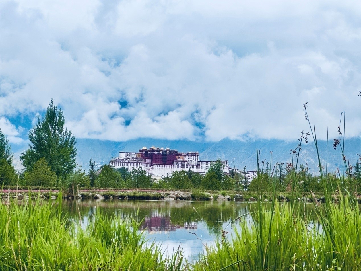 在南山公園遠(yuǎn)眺布達(dá)拉宮。人民網(wǎng)記者 益西康珠攝