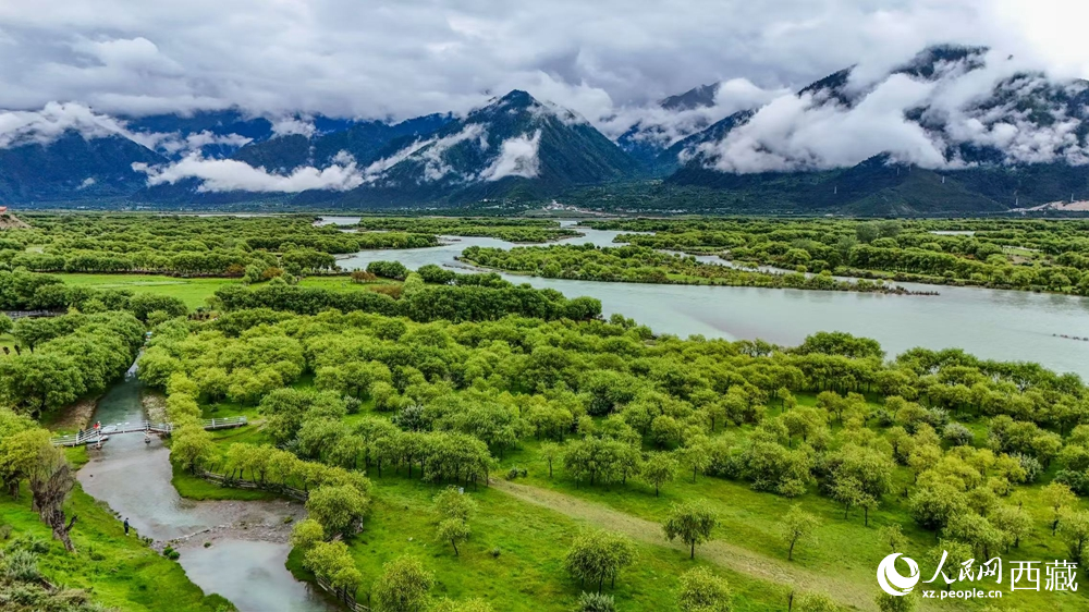 鳥瞰盛夏季節(jié)的雅尼濕地風光。人民網(wǎng)記者 次仁羅布攝