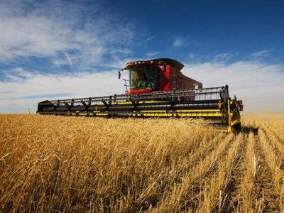 【光明網(wǎng)專論】秦富:鄉(xiāng)村振興亟需培育農(nóng)村發(fā)展新動能 【光明網(wǎng)專論】秦富:鄉(xiāng)村振興亟需培育農(nóng)村發(fā)展新動能