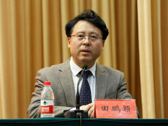 田鵬穎：投入其中、樂在其中、安身其中