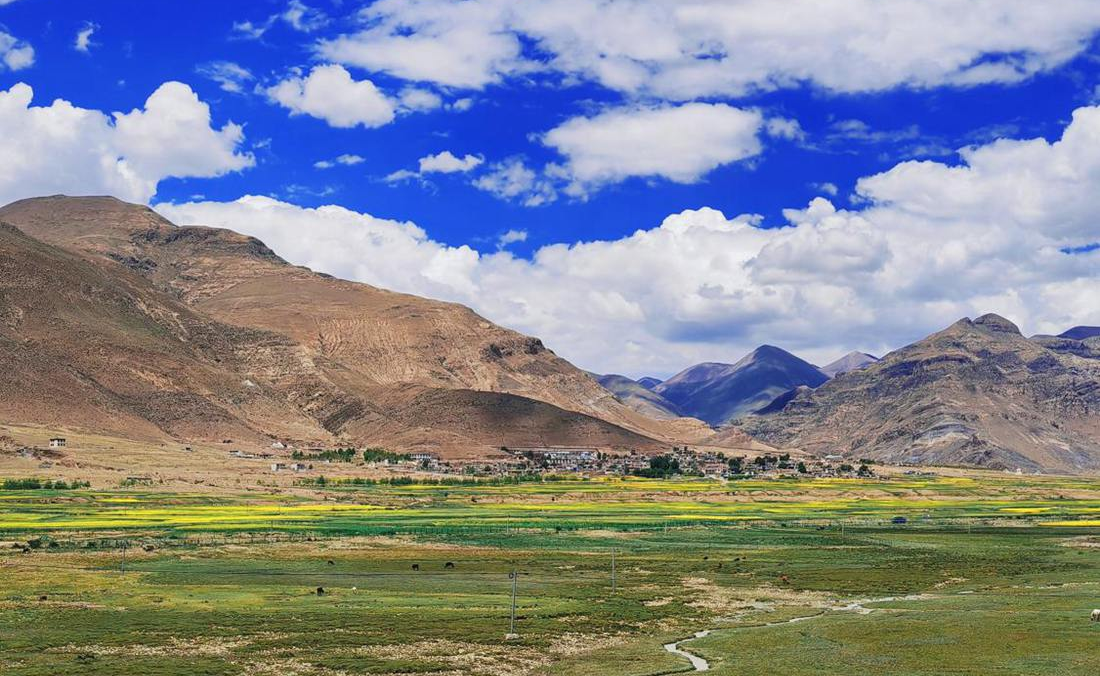 羌塘草原上的美好圖景。人民網(wǎng) 李海霞攝