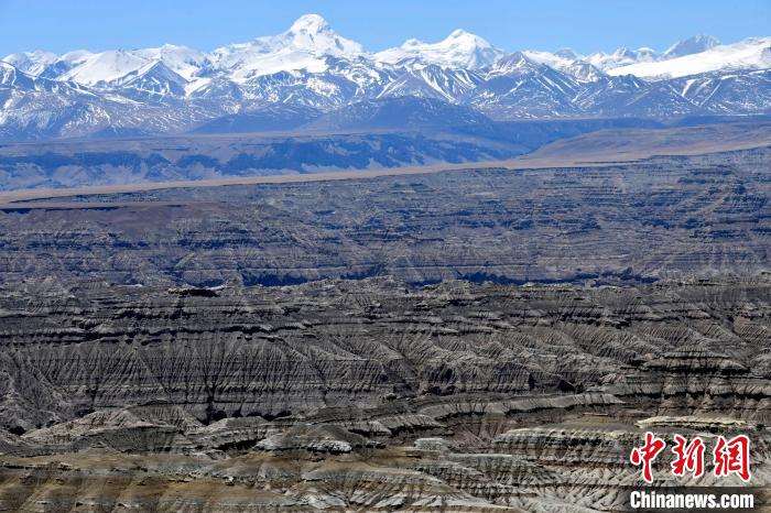 4月5日，西藏阿里札達土林?！±盍?攝